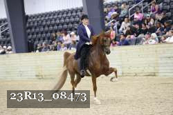 23R13_08473 thumbnail