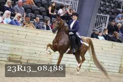 23R13_08488 thumbnail
