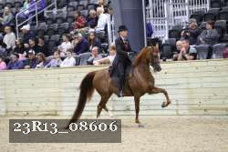 23R13_08606 thumbnail