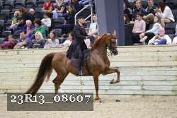23R13_08607 thumbnail