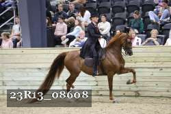23R13_08608 thumbnail