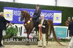 23R13_08610 thumbnail