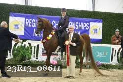 23R13_08611 thumbnail