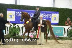 23R13_08612 thumbnail