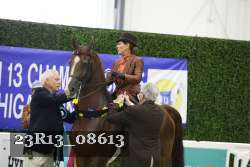 23R13_08613 thumbnail