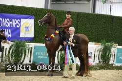 23R13_08614 thumbnail