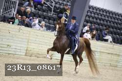 23R13_08617 thumbnail