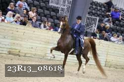 23R13_08618 thumbnail
