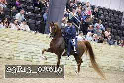 23R13_08619 thumbnail