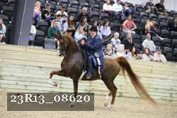 23R13_08620 thumbnail