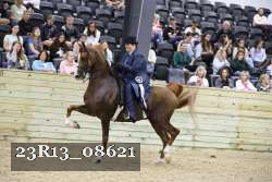 23R13_08621 thumbnail