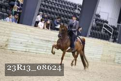 23R13_08624 thumbnail