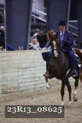 23R13_08625 thumbnail