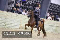 23R13_08626 thumbnail