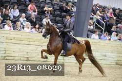 23R13_08629 thumbnail