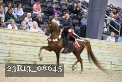 23R13_08645 thumbnail