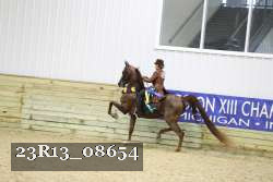 23R13_08654 thumbnail