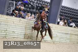 23R13_08657 thumbnail