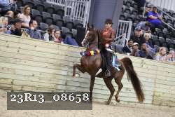 23R13_08658 thumbnail