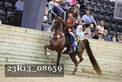 23R13_08659 thumbnail