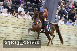 23R13_08660 thumbnail
