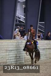 23R13_08661 thumbnail