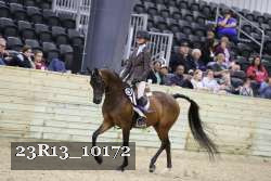 23R13_10172 thumbnail