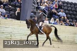 23R13_10173 thumbnail