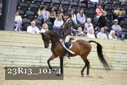23R13_10174 thumbnail