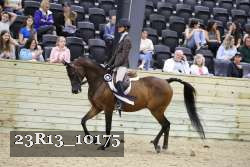 23R13_10175 thumbnail