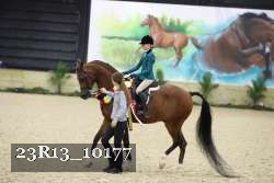 23R13_10177 thumbnail