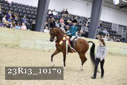 23R13_10179 thumbnail