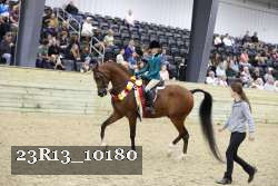 23R13_10180 thumbnail