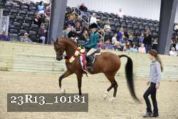 23R13_10181 thumbnail