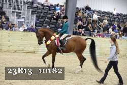 23R13_10182 thumbnail