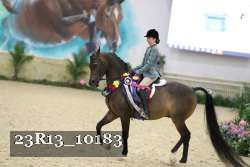 23R13_10183 thumbnail