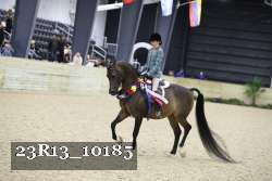 23R13_10185 thumbnail