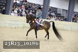 23R13_10186 thumbnail
