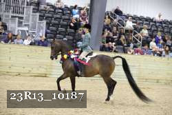 23R13_10187 thumbnail