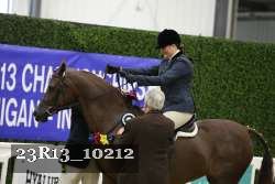 23R13_10212 thumbnail