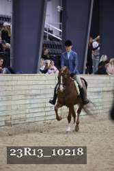 23R13_10218 thumbnail