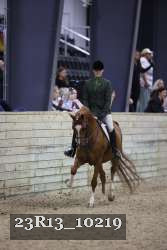 23R13_10219 thumbnail