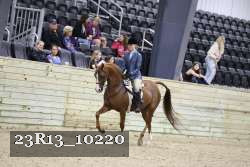 23R13_10220 thumbnail