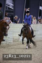 23R13_10221 thumbnail