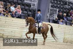23R13_10222 thumbnail