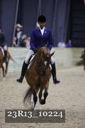 23R13_10224 thumbnail