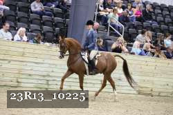 23R13_10225 thumbnail