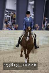 23R13_10226 thumbnail