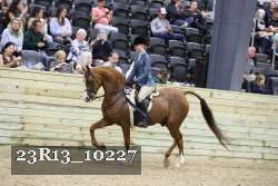 23R13_10227 thumbnail