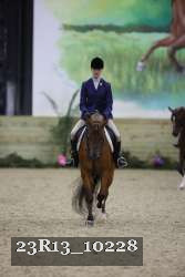 23R13_10228 thumbnail